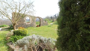 Un bâtiment en pierre doté d’une fenêtre en arc de cercle et d’un petit jardin où poussent diverses plantes et un arbre.