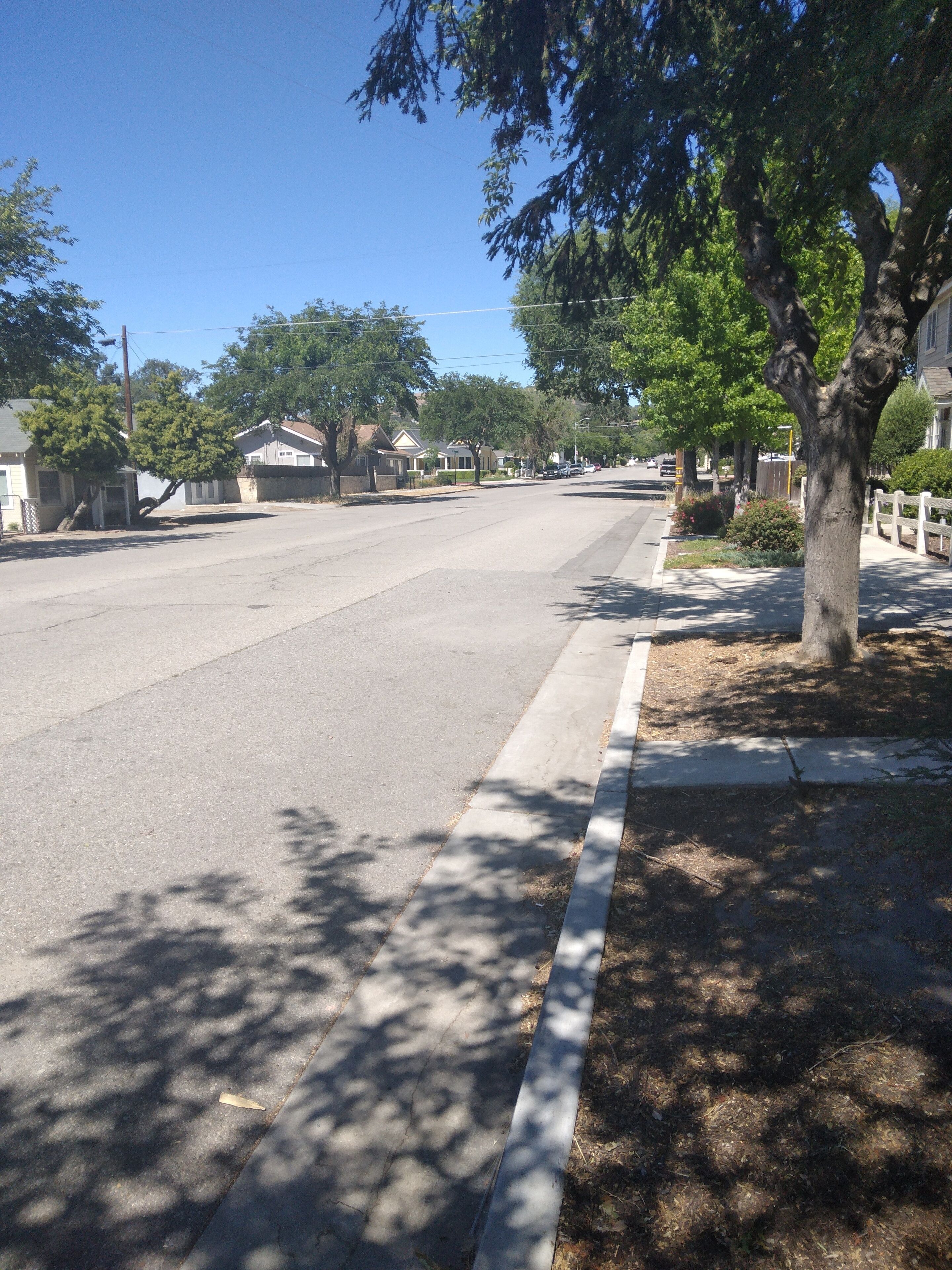 Una tranquilla strada residenziale alberata e fiancheggiata da case.