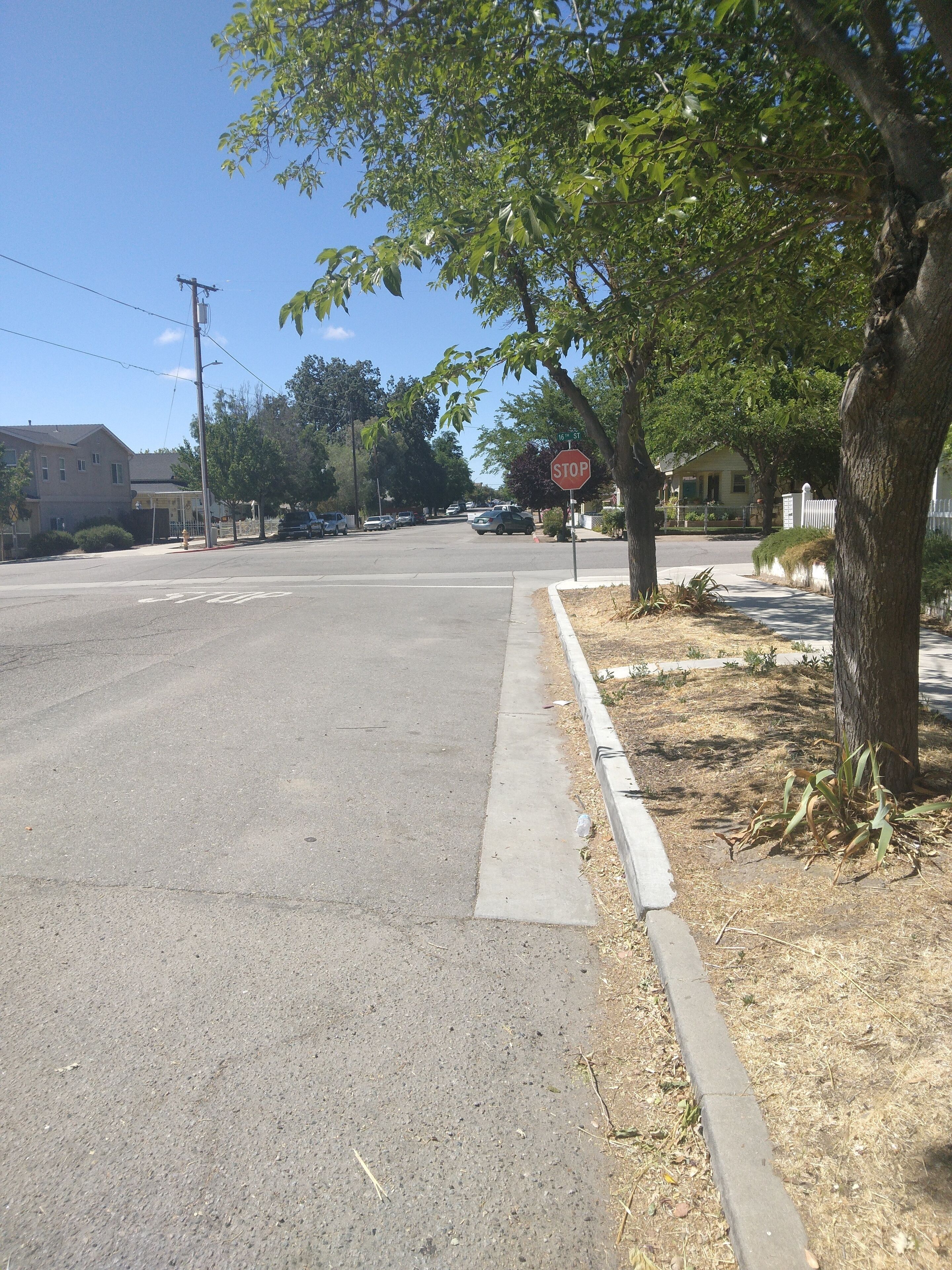 A quiet street with a stop sign, a sidewalk, and trees.