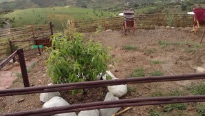 Garden - Farm stay Ali - Hostel (Chefchaouen)