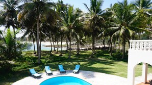 A swimming pool with lounge chairs, surrounded by palm trees and a view of the beach. - Baoba Breeze Bed & Breakfast (Cabrera)