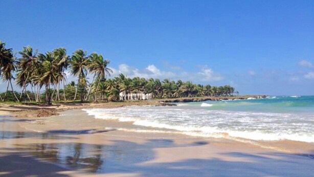 A beach with palm trees and ocean waves. - Baoba Breeze Bed & Breakfast (Cabrera)