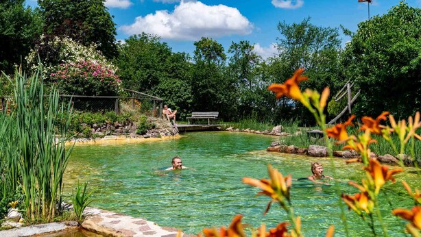 A clear outdoor swimming pool surrounded by lush greenery and a stone pathway. - Landhotel Gut Wildberg (Klipphausen)