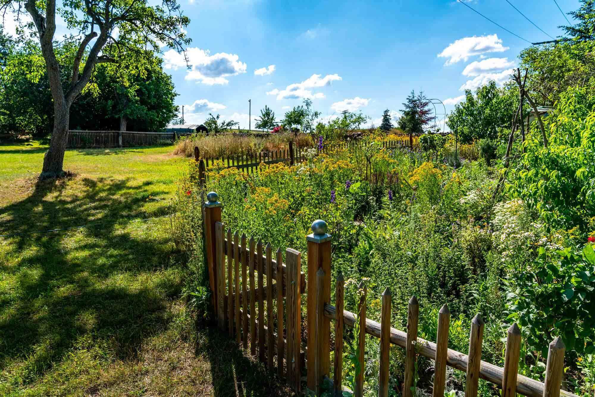 A wooden fence with a metal top, surrounded by lush greenery and a clear sky.