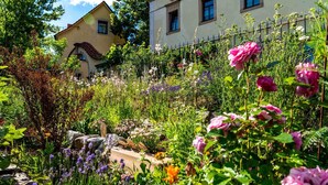 A garden with various flowers and a building in the background. - Landhotel Gut Wildberg (Klipphausen)