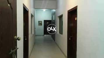 Executive Single Room, 1 Single Bed | Egyptian cotton sheets, premium bedding, Select Comfort beds