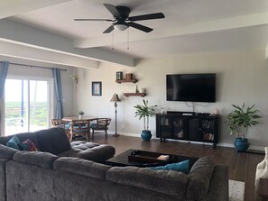 TV, fireplace, books, stereo