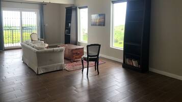 TV, fireplace, books, stereo