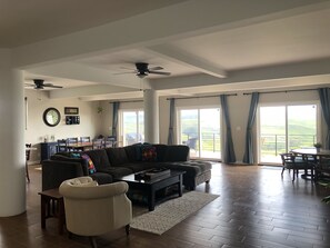 Televisión, chimenea, libros y estéreo 