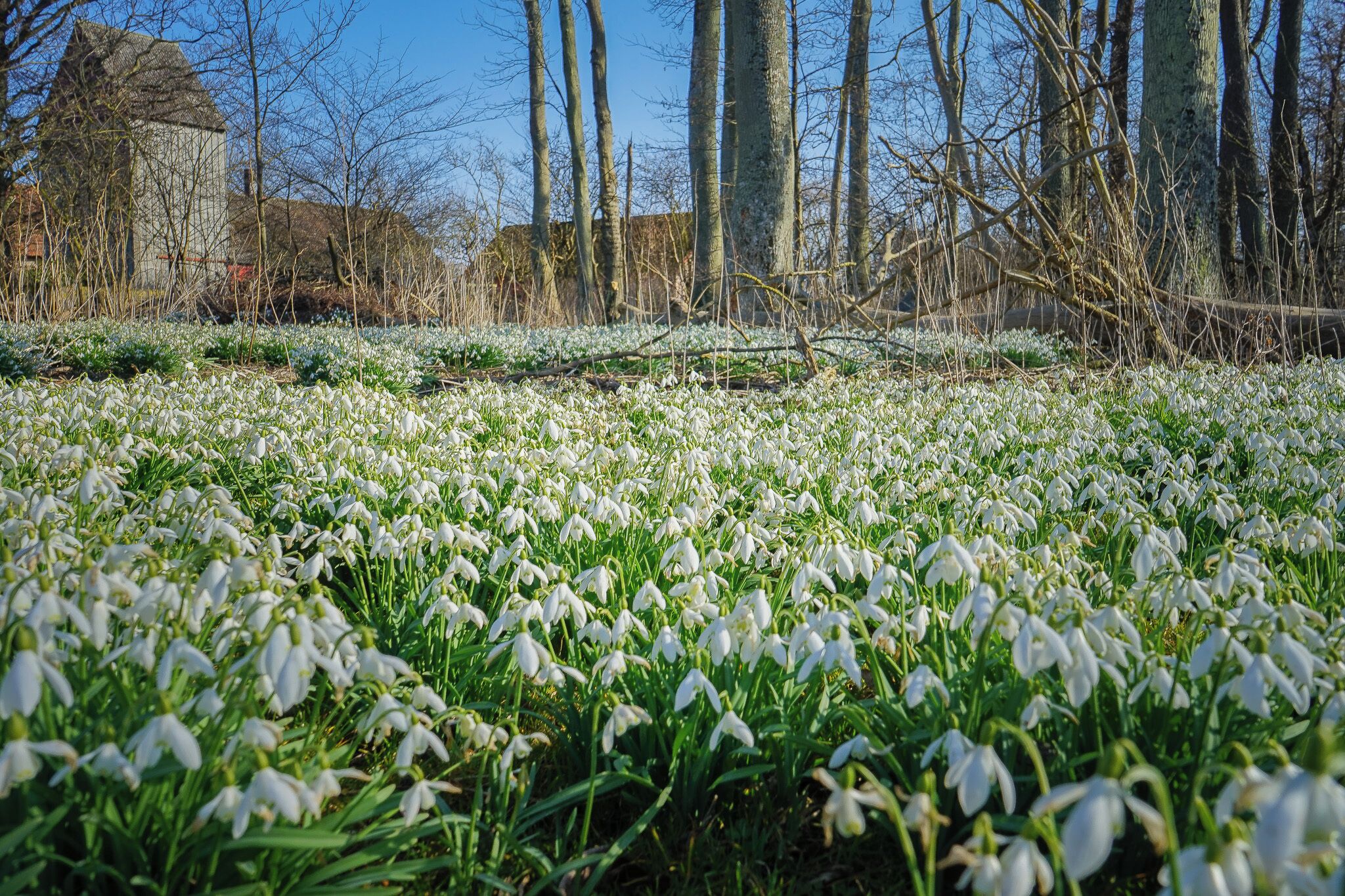 熨斗/熨板、免费 WiFi、床单
