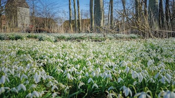 熨斗/熨衫板、免費 Wi-Fi、床單