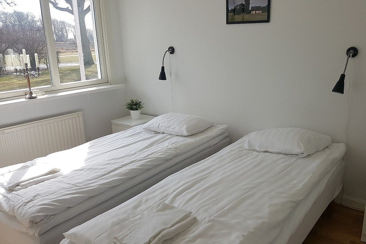 Comfort Twin Room, Private Bathroom (twin bed and extra bed) | Iron/ironing board, free WiFi, bed sheets