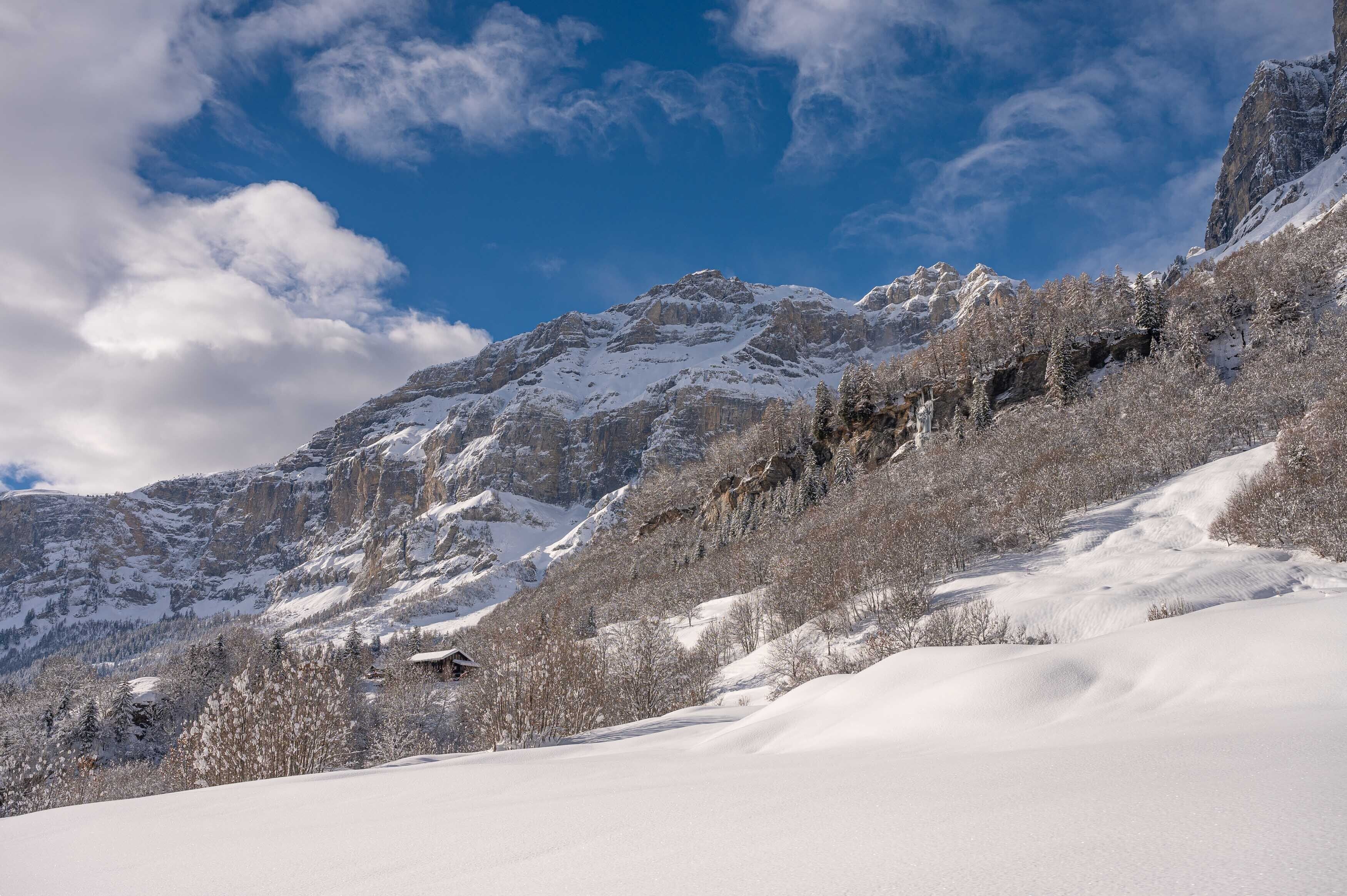 standard studio, mountain view | 1 bedroom, in-room safe, individually decorated, desk