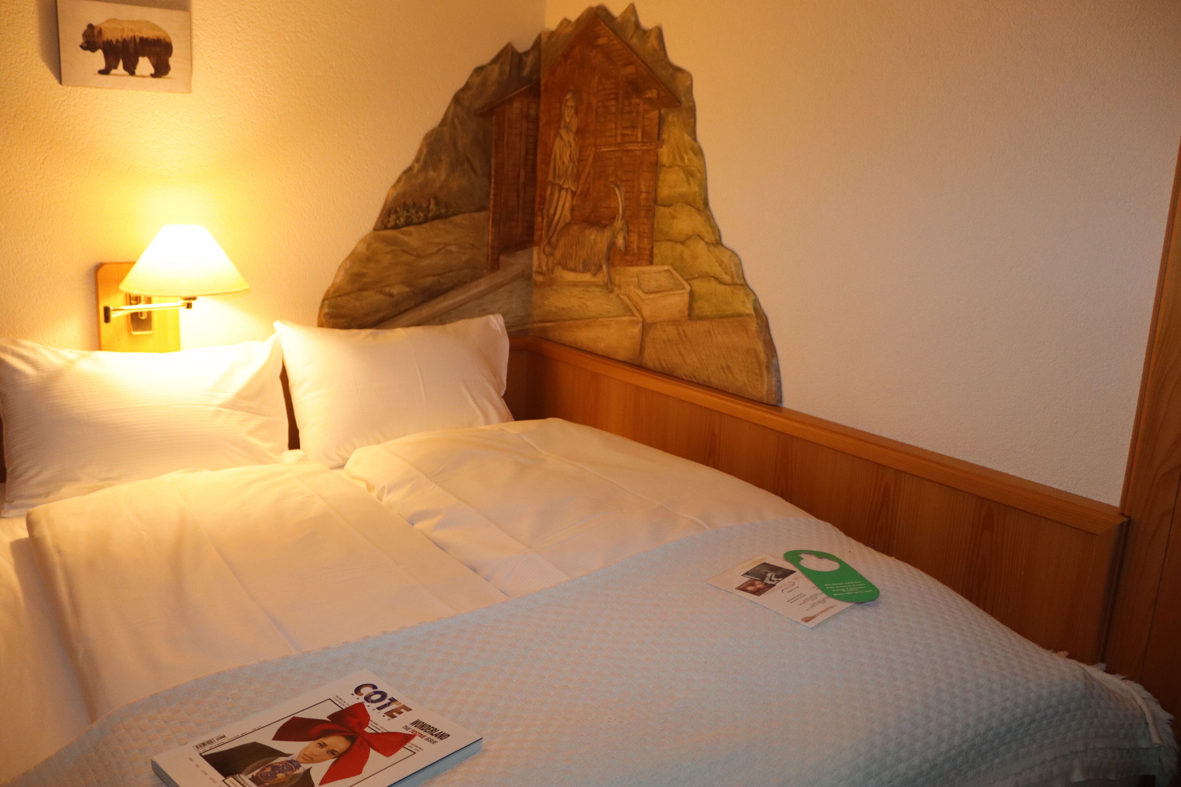 comfort single room, mountain view | 1 bedroom, in-room safe, individually decorated, desk