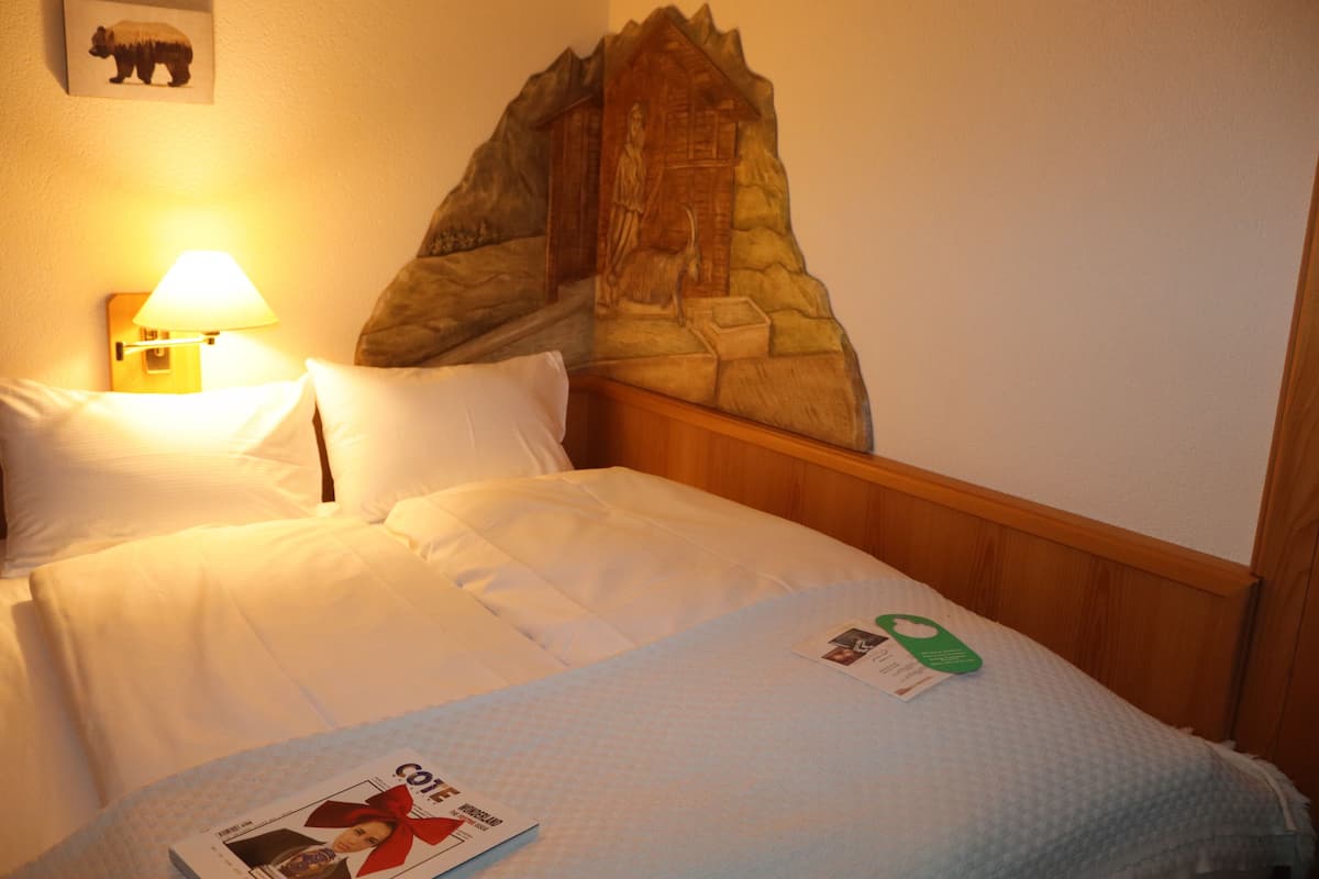 comfort single room, mountain view | 1 bedroom, in-room safe, individually decorated, desk