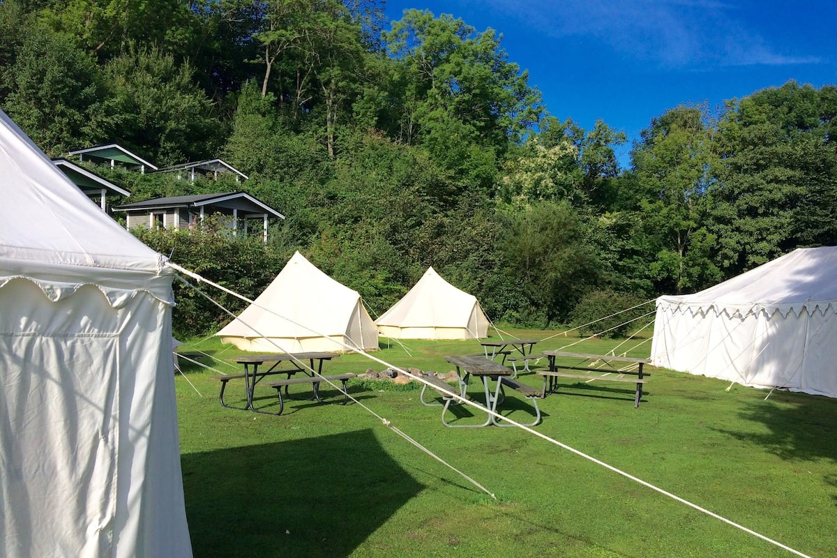 A campsite with white tents, picnic tables, and a grassy area surrounded by trees.