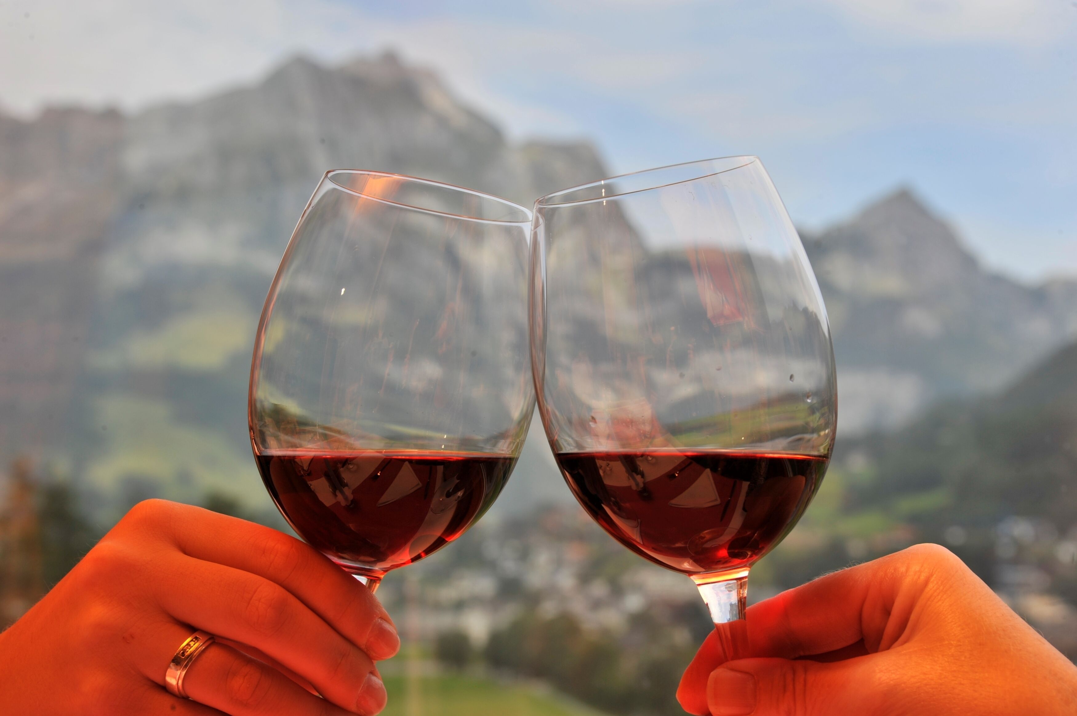 Two hands holding wine glasses with a mountainous landscape in the background.
