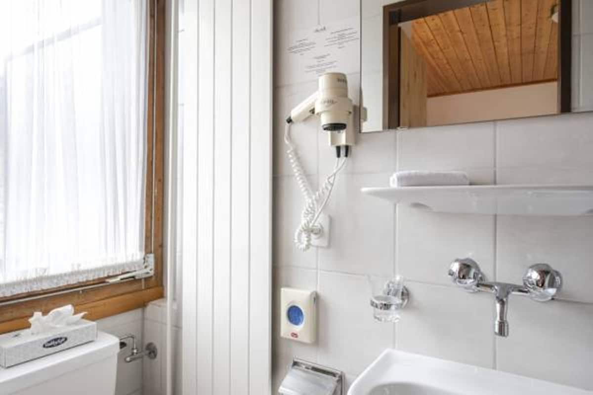 single room | bathroom | shower, free toiletries, hair dryer, bathrobes