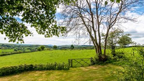 Un paysage rural avec un champ d’herbe, une barrière en bois et des arbres.