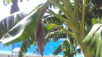 Hồ bơi ngoài trời