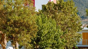 A multi-story building with a colorful facade, a balcony with blue shutters, and a clear view of the surrounding greenery and hills in the background. - Hostal Bellsol (Pineda de Mar)