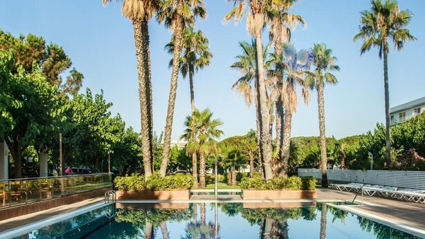 A clear swimming pool surrounded by palm trees, with a clear sky above. - Hostal Bellsol (Pineda de Mar)