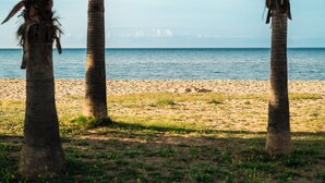 A beach with palm trees and a clear view of the ocean. - Hostal Bellsol (Pineda de Mar)