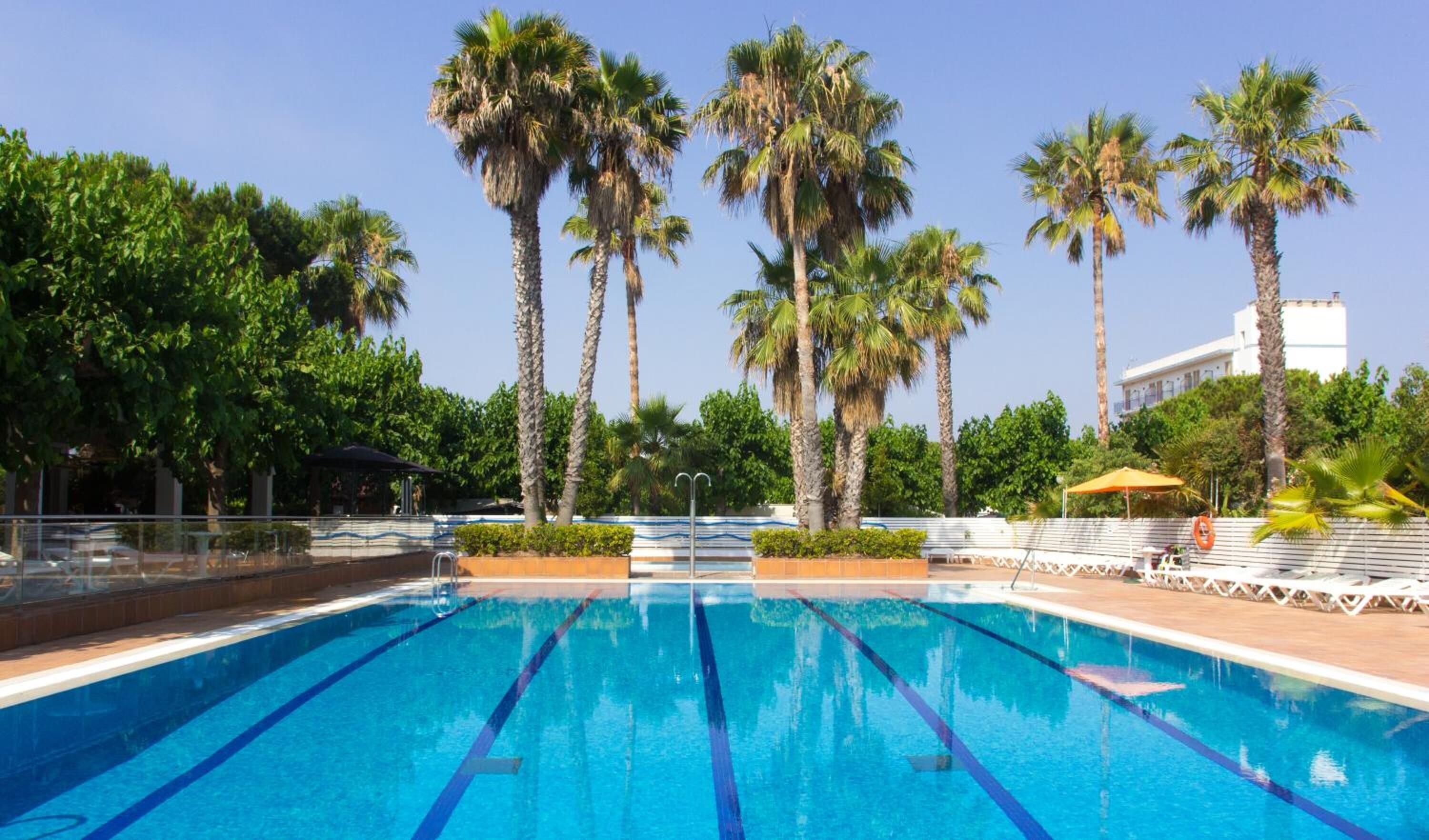 Photo - Càmping Bellsol