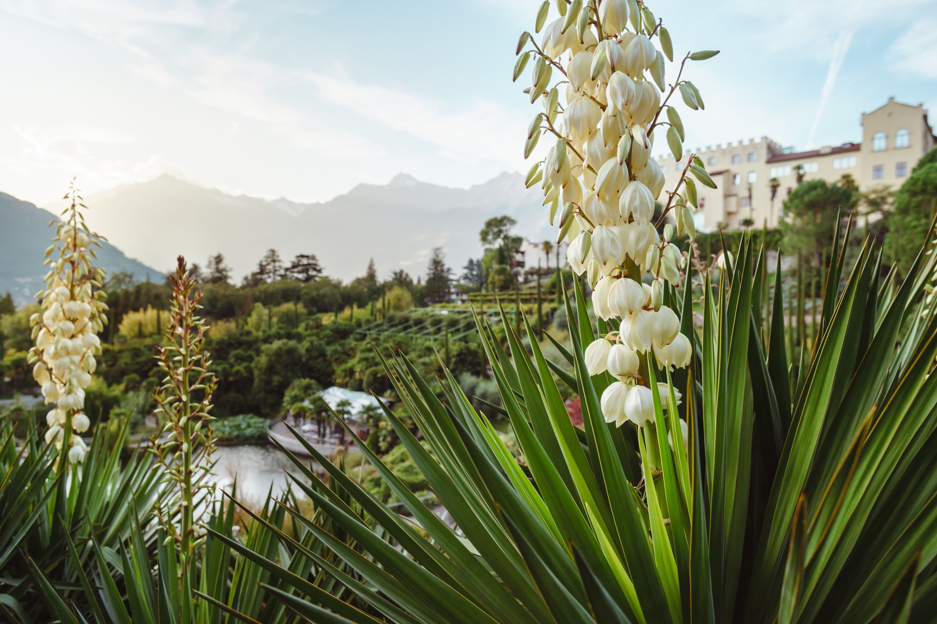 Foto - Kuntino Suites