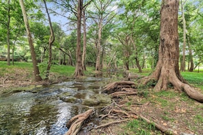 Un área boscosa con un arroyo, árboles y un pequeño puente.