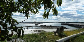 Udsigt over en flod med en træbænk, en stenet strand og en fjer pier.