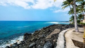 A coastal view with a rocky shoreline, palm trees, and a clear blue sky.