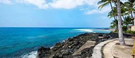 公寓式客房, 1 张特大床, 海洋景观 (Keauhou Kona Surf and Racquet Club To) | 沙滩/海景