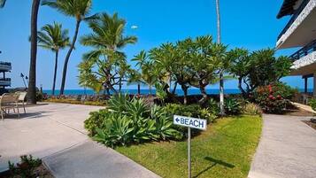 Lägenhet - 1 kingsize-säng med bäddsoffa (Casa De Emdeko 330) | Boendeområde