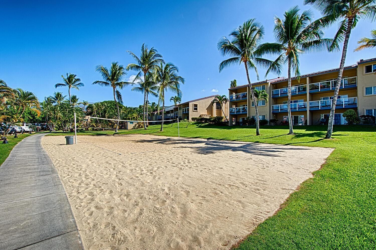 A sandy beach volleyball court with palm trees and a building in the background.