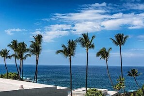 A coastal view with palm trees and a clear sky.