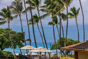 Condo, 1 King Bed (Kona Isle E23) | Property grounds - Kona Isle E23 (Kailua-Kona)