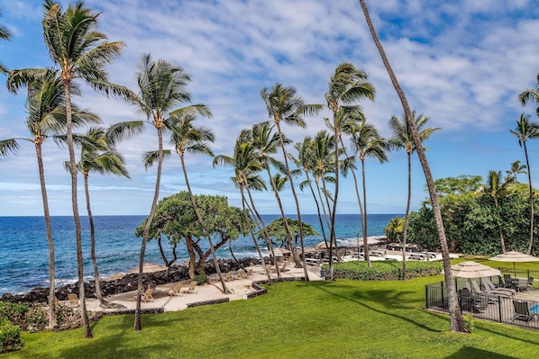 Condo, 1 King Bed (Kona Isle E23) | Property grounds
