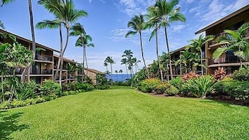 Appartement, 1 queensize bed (Kona Makai 2-102) | Tuin