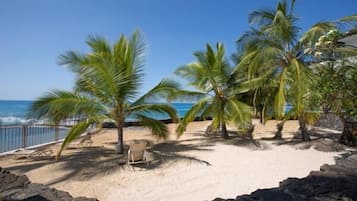 Condo, 1 Queen Bed with Sofa bed (Casa De Emdeko 204) | Beach | On the beach