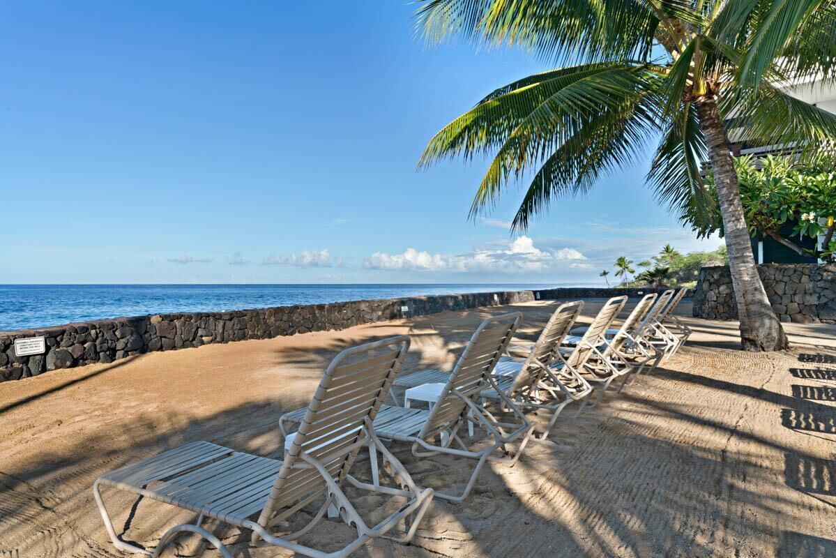 Une plage avec des chaises longues et un palmier.