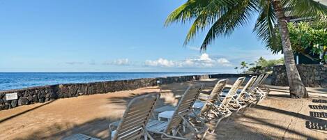 Une plage avec des chaises longues et un palmier.