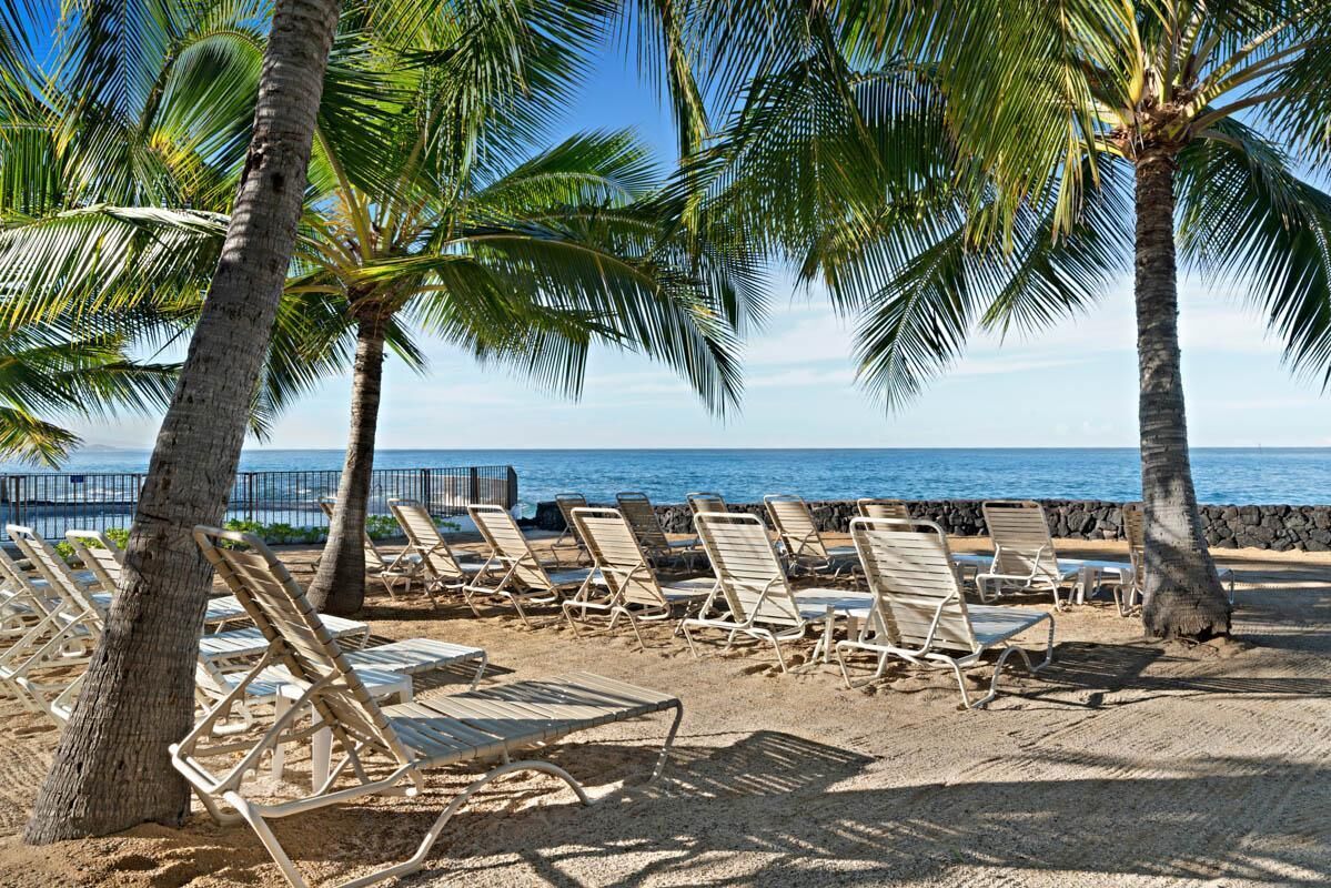 Apartment, 1 Queen-Bett und Schlafsofa (Casa De Emdeko 204) | Unterkunftsgelände