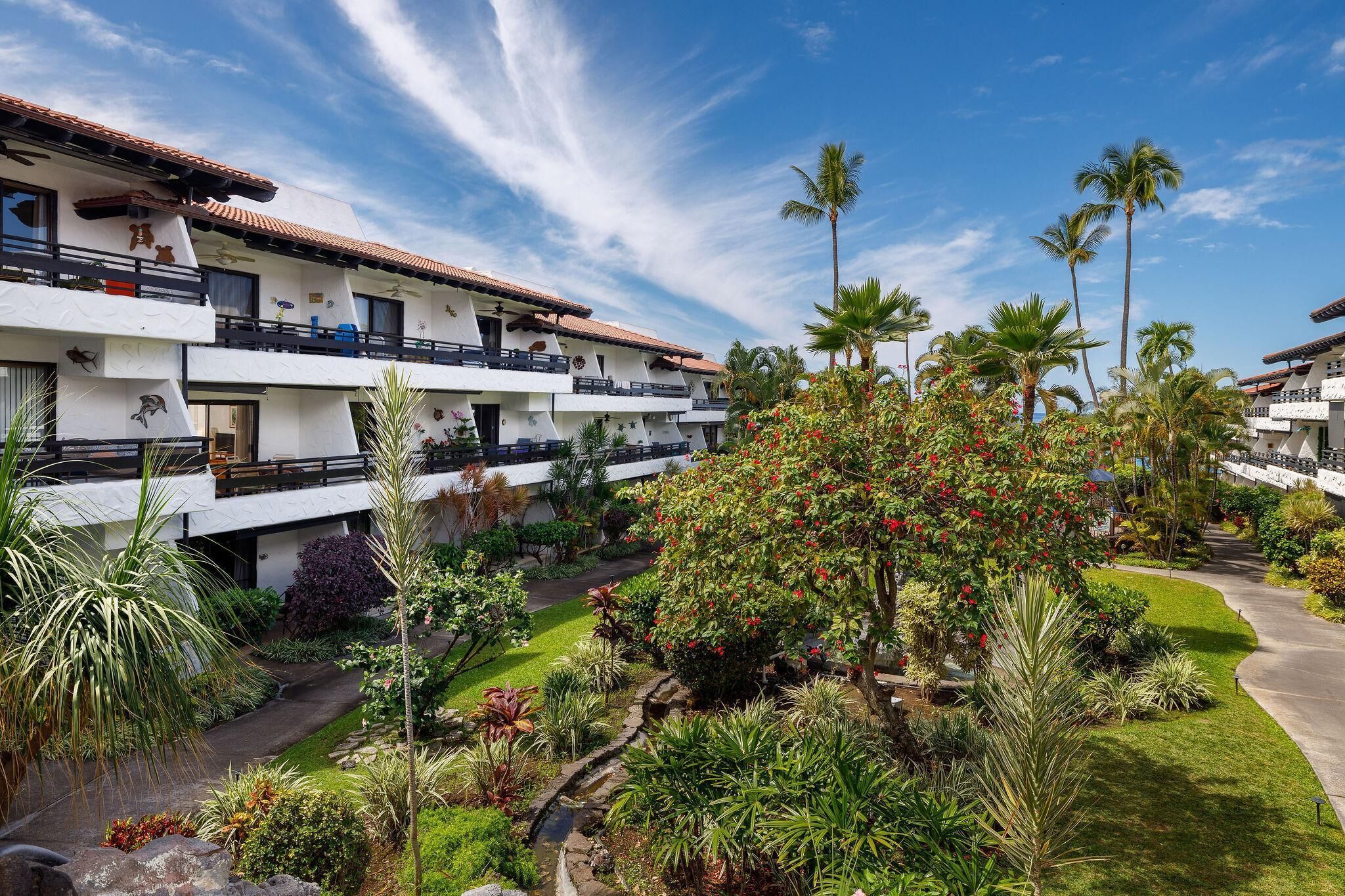 公寓客房, 1 張加大雙人床和 1 張沙發床 (Casa De Emdeko 204) | 住宿一隅