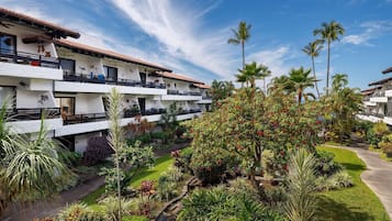 Condo, 1 Queen Bed with Sofa bed (Casa De Emdeko 204) | Property grounds