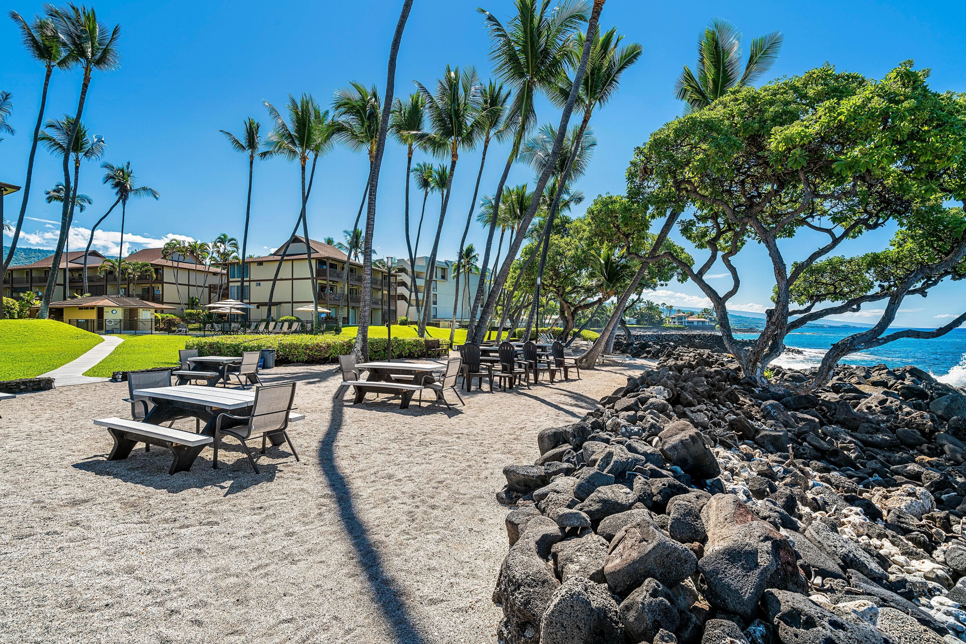 A beachside resort with a dining area, palm trees, and ocean views.