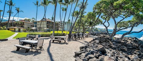 A beachside resort with a dining area, palm trees, and ocean views.