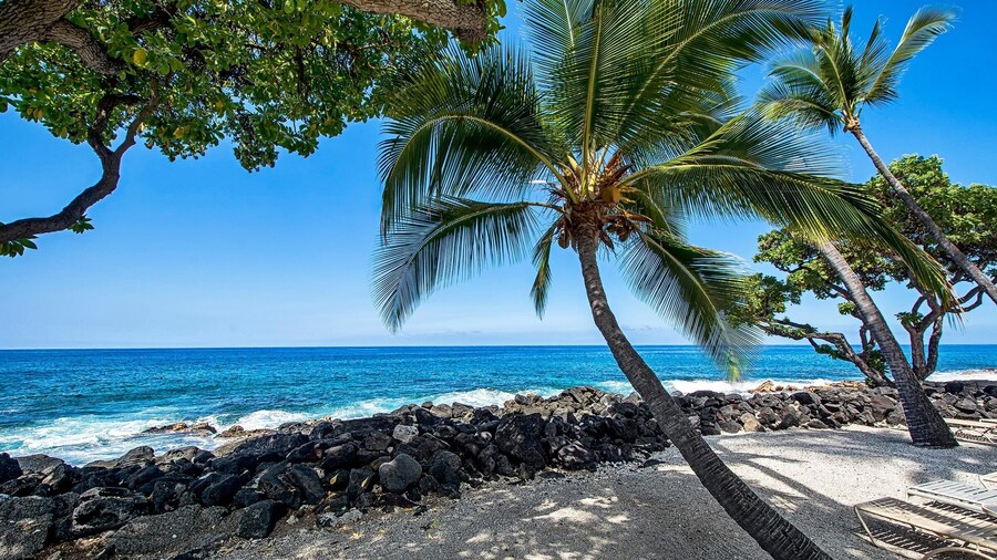 Kona Isle B31