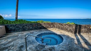 Une piscine en pierre avec un escalier en métal, entourée d’un mur de pierre, d’où l’on peut admirer l’océan et un palmier.