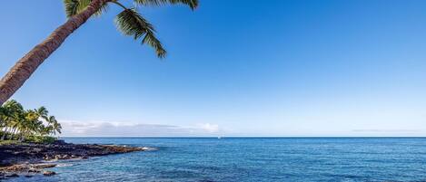 Condo, 1 King Bed (Kona Makai 3-203)